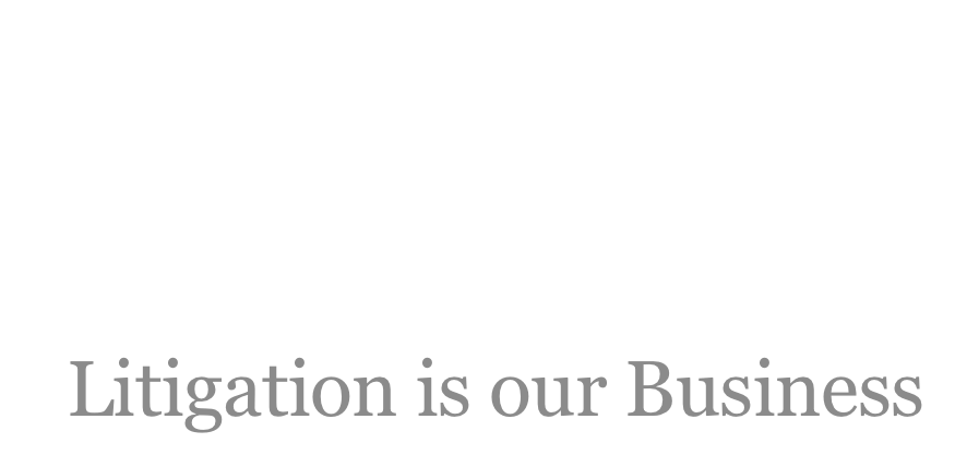 litigation our biz